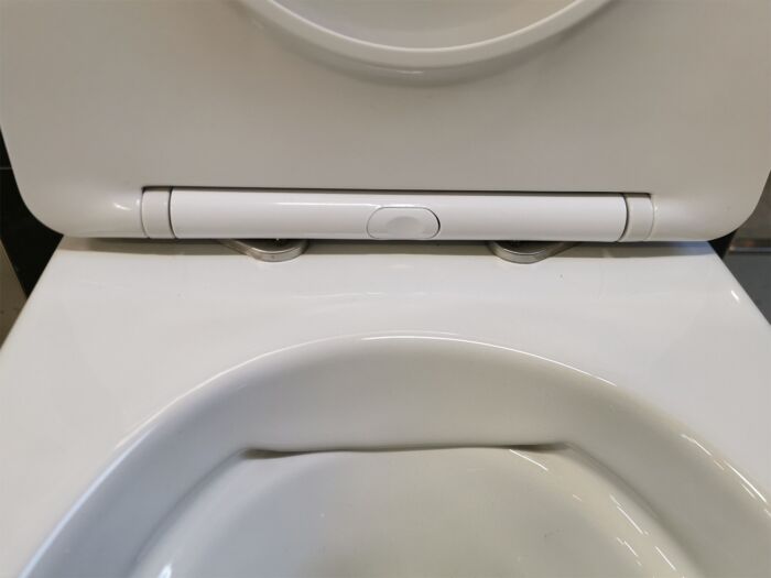 gips Harden in stand houden Sani Royal Hangend Toilet Wandcloset met bidet Slim Rimfree 55 cm Easy  Flush met Softclose Zitting